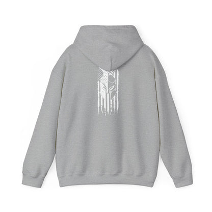Tactical Hoodie - American Flag with American Spartan on the back