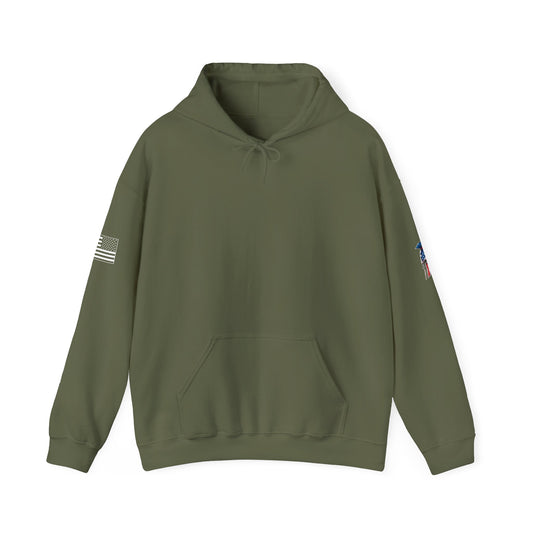 Plane Ol Spartan Designs Hoodie