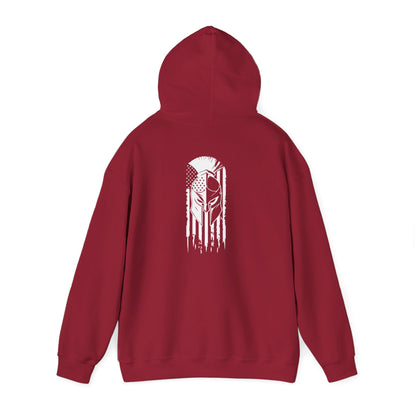 Tactical Hoodie - American Flag with American Spartan on the back