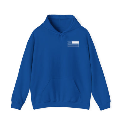 Tactical Hoodie - American Flag with American Spartan on the back