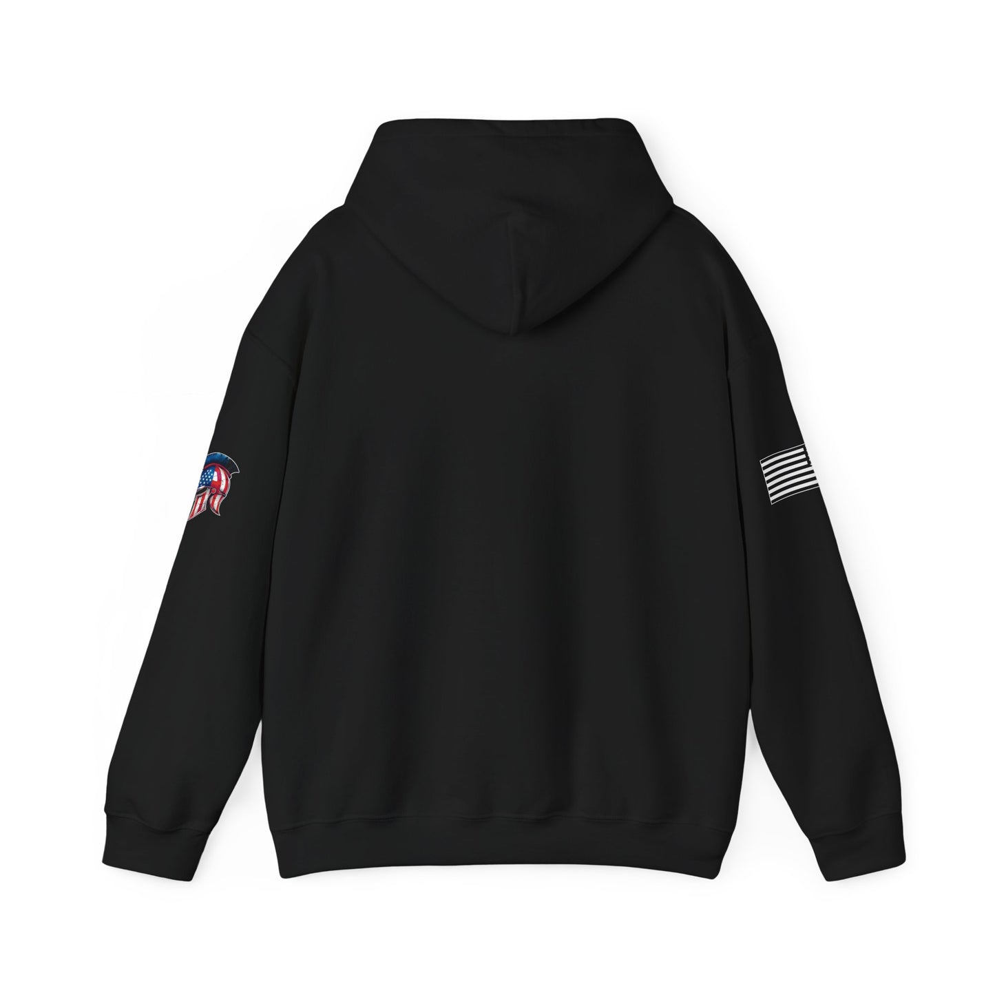 Plane Ol Spartan Designs Hoodie