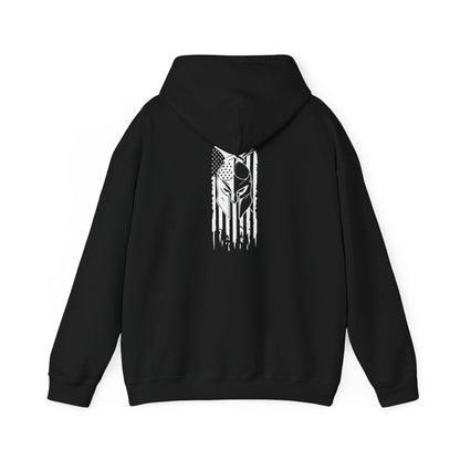 Tactical Hoodie - American Flag with American Spartan on the back