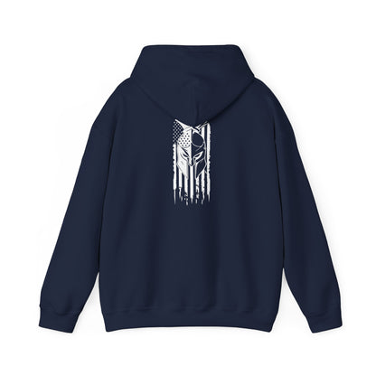 Tactical Hoodie - American Flag with American Spartan on the back