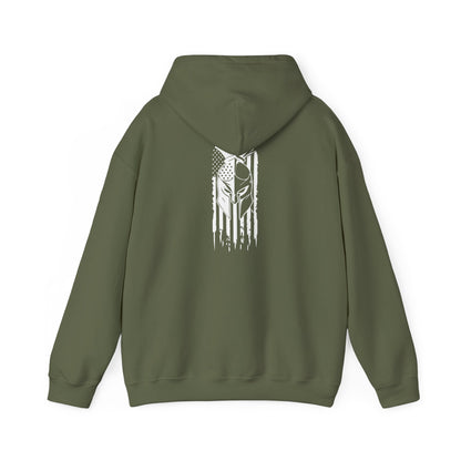 Tactical Hoodie - American Flag with American Spartan on the back
