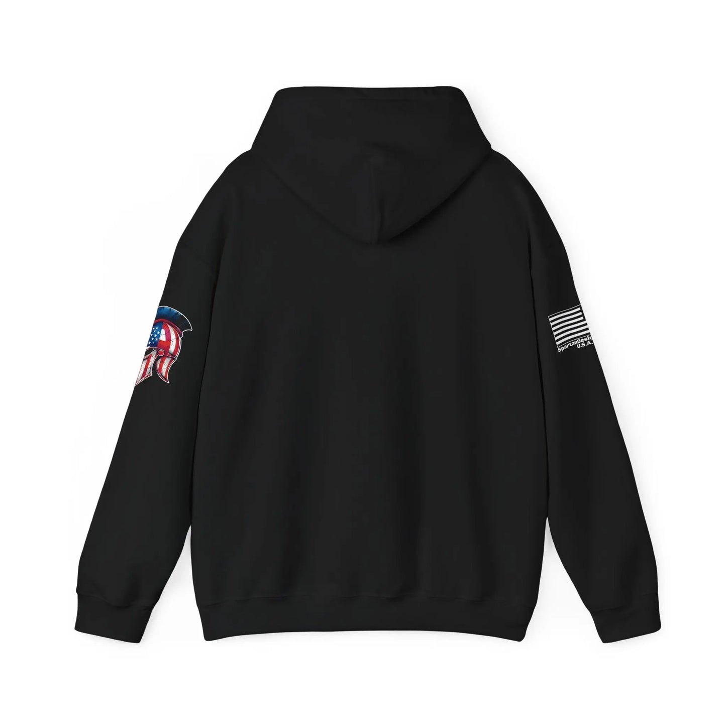 Plane Ol Spartan Designs Hoodie Printify