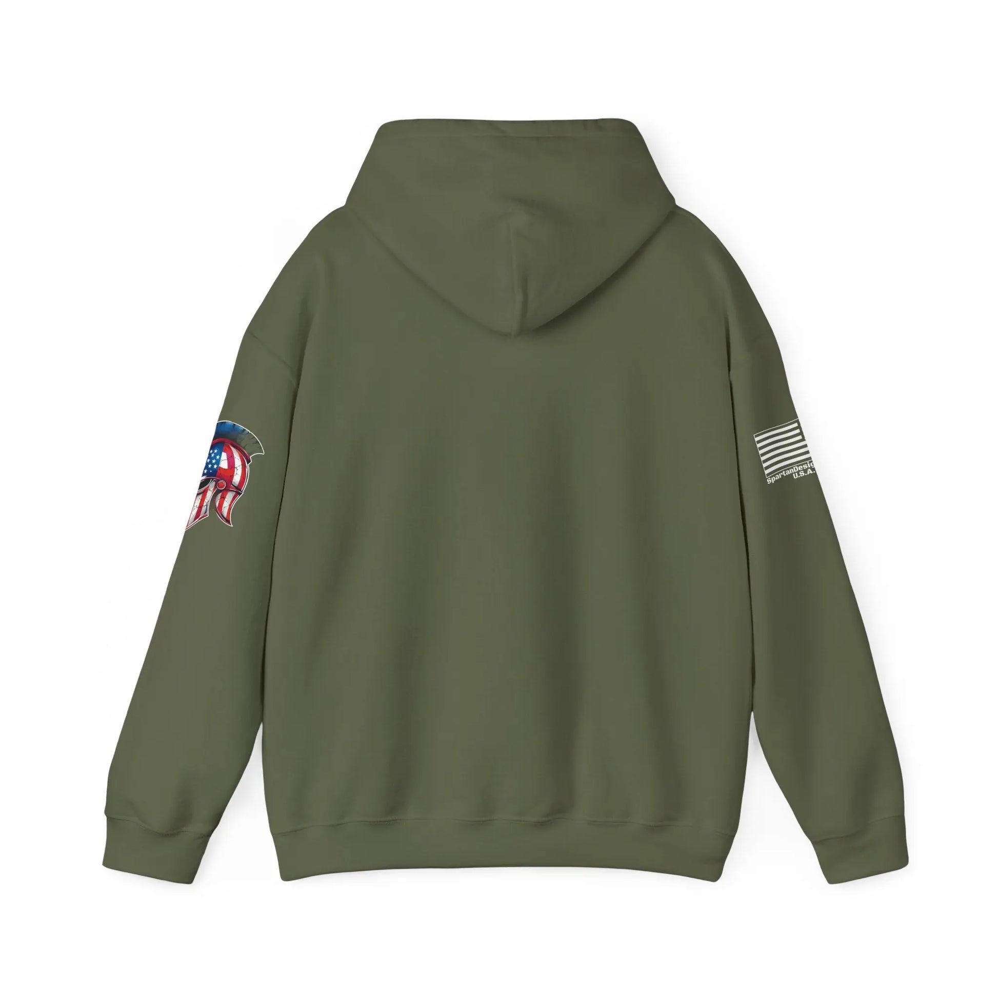 Plane Ol Spartan Designs Hoodie Printify